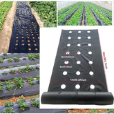 VEGMESH™ – FOLIJA ZA SAJENJE (1x10m)