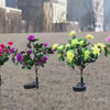 FLORABRIGHT™ – SOLARNA VRTNA SVETILKA V OBLIKI CVETLIC