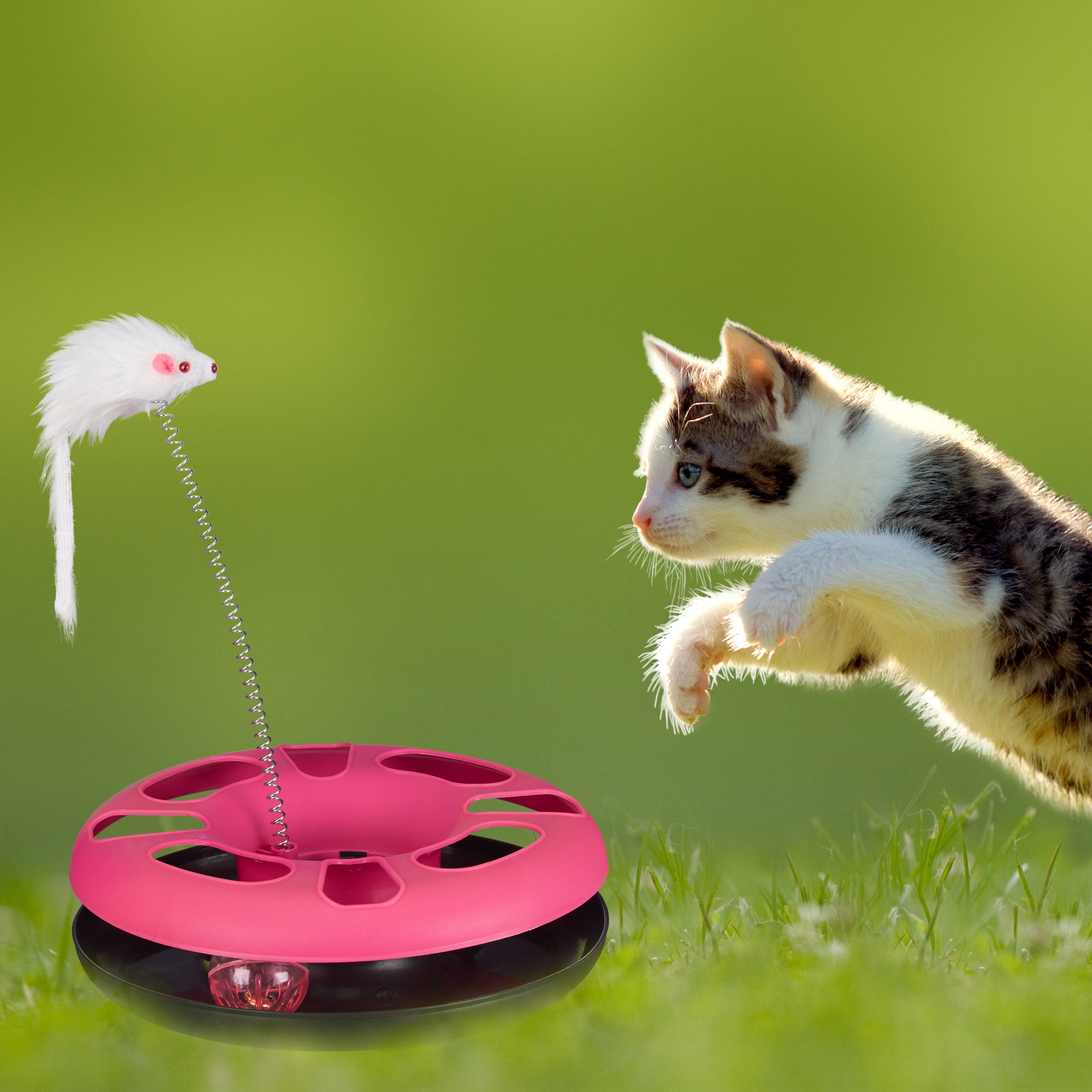 Poskakujoča miška za mačke Kinky